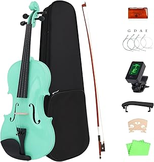 Dudrin violin set for adults and violin students 1-2 lacquered for beginners with case.. From office supplies to fashion — DIAYTAR Nigeria brings it fast.