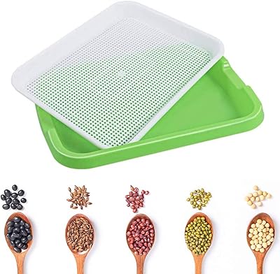 Seed germination tray without BPA BPA with drainage holes Solles Sol for the.. Discover why DIAYTAR NIGERIA is the smart shopper's choice for affordable products delivered nationwide.