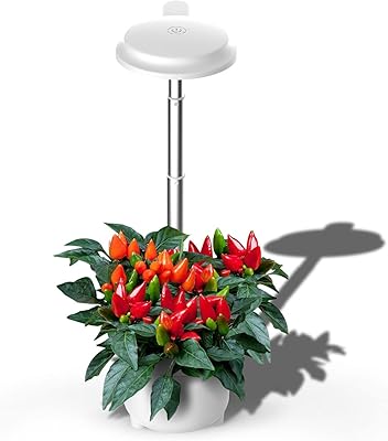 YM Like Hydroponic cultivation system of plants in 3 pieces lamp of interior herbs for vegetables.. DIAYTAR Nigeria: Discover more, spend less, and enjoy delivery within 5–8 days.