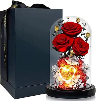 Moon Min preserved flowers handmade forever, Valentine's Day gift for wedding, birthday and Mother's Day, best gift for her (3 roses, red).. DIAYTAR NIGERIA: Your one-stop e-commerce destination with affordable prices and nationwide delivery in 5-8 days.