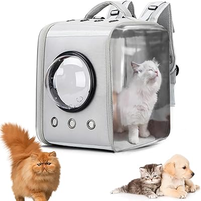 A background backpack for pets and large cats with a design.. DIAYTAR NIGERIA: Revolutionizing accessibility to quality products at budget-friendly prices across Nigeria.