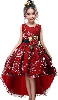 Princess dress for girls for weddings and birthdays with train 3-14 years old.. Experience the DIAYTAR difference with our vast product selection and delivery within 5-8 days.