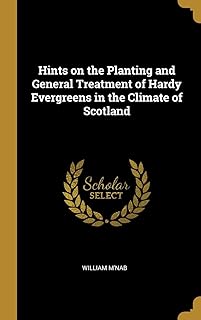 Advice on planting and general treatment of rustic conifers in the climate of Scotland.. Elevate your shopping experience with DIAYTAR NIGERIA's vast catalog and budget-friendly options.