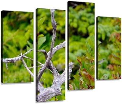 The twisted branches of a bleached dead tree contrast with the luminous printed canvas, framed wall art images, digital printing, abstract painting, room, office, house decoration, ready to hang, 4 panels.. Shop without limits at DIAYTAR NIGERIA and receive your purchases at budget prices within the week.