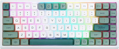 Mechanical game keyboard Ibooker IBOBER IP84 PRO 75 % RGB Hot exchangeable 2.4 GHz/Bluetooth 5.0/USB-C with programmable software, NKRO, PBT keys for Mac, Windows and Players (Gateron.. Love deals? DIAYTAR Nigeria has you covered with low prices and fast delivery.