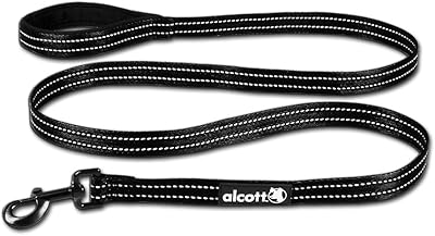 Leave for adventure dogs with reflective seams and padded handle in neoprene, large, black.. DIAYTAR Nigeria brings you closer to everything you need — fast delivery, low costs, and variety.