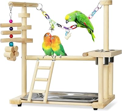 Jafest parrot games, game shelf for birds, wooden perch, play scale, with food cup for parrots - tray included.. From office supplies to fashion — DIAYTAR Nigeria brings it fast.