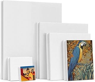 Virgin white outstretched canvas 100 % cotton for painting paintings on canvas.. Nigeria's favorite online shopping platform, DIAYTAR offers unbeatable prices and delivery within a week.