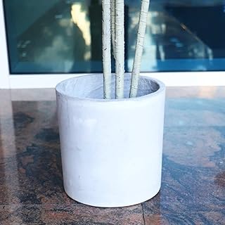 Yatai Creative Round Plant Pot Outdoor Plant Support Concrete flower pot interior balcony garden - flower vase (size m) (size s) (size s).. Get everything you need without leaving your home. DIAYTAR Nigeria offers a seamless shopping experience and delivers your orders quickly and reliably.