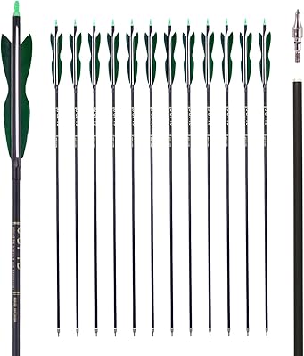 Lwano 30 "carbon hunting arrows with turkey turme 500 of 5" for bow and pulleys (12).. From household needs to gadgets, DIAYTAR Nigeria has it all.