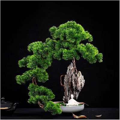 Artificial bonsai artificial cliff cypress Bienvenue Songke Bonsaï Falaise Wall.. From tech to toiletries, DIAYTAR Nigeria delivers without delay.