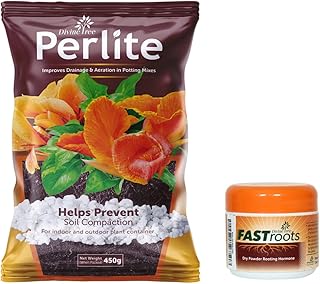 Hormone Racine Hormone Powder Divine Tree 450 g and Hormone Powder 50 g.. DIAYTAR NIGERIA: Making quality products accessible to all Nigerians at affordable prices.