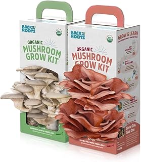 Kit of organic fungi Back to the roots variety of oyster mushrooms and pink.. DIAYTAR NIGERIA combines affordability, variety, and convenience with nationwide delivery services.