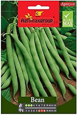 Green bean seeds Agrimax.. Great finds. Great prices. Fast shipping. That’s DIAYTAR Nigeria.