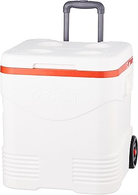 Cylindrical water cooler in cosmoplast plastic with casters to stay in the fridge for picnics - 30 liters.. Your shopping needs fulfilled through DIAYTAR NIGERIA's extensive selection and nationwide delivery.
