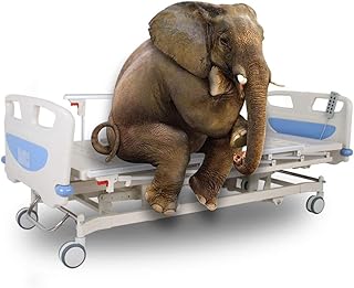 Triple function bed, fully electric hospital bed for patients - home care and medical equipment.. Transform how you shop with DIAYTAR NIGERIA's vast selection and budget-friendly delivery options.