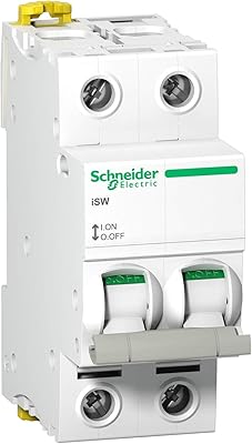 Schneider Electric A9S65240 Switch in ISW ​​2P 40 A drum, 240 V.. DIAYTAR NIGERIA revolutionizes online shopping with competitive prices and reliable 5-8 day delivery.