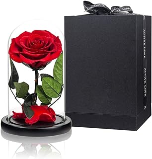 True red rose preserved in a glass dome, eternal roses that never fade, gifts for women for Valentine's Day, Mother's Day, a birthday and Christmas.. Experience the ease of modern shopping with DIAYTAR NIGERIA's comprehensive platform and quick delivery.