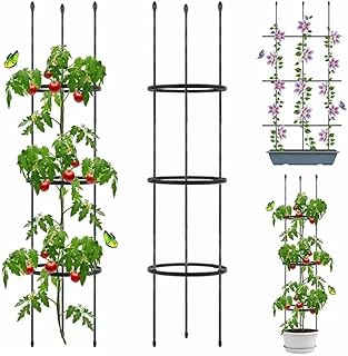 Climbing planting in rattan climbing plants with 3 black rings.. DIAYTAR NIGERIA delivers on every promise with our affordable prices and nationwide delivery service.