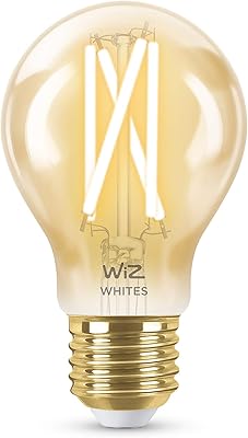 EDISON E27 Bulb Connected Wi-Fi Wize, White, Amber with variable intensity, 929003017401, 1 piece (1).. DIAYTAR NIGERIA: Connecting Nigerians with affordable products through our expansive e-commerce platform.
