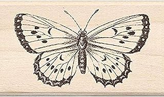 Enkadindo rubber pads 1.8 "x 7.6" - Large butterfly.. With DIAYTAR Nigeria, shopping online is easy, affordable, and fast.