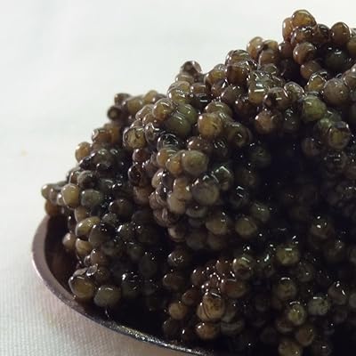 Was de Caviar Fermier Roschen Ostra Crown.. Shop across categories at DIAYTAR NIGERIA with the confidence of prompt and budget-friendly delivery.