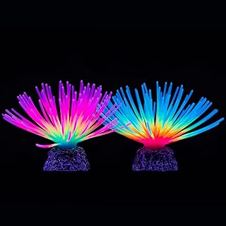 Manufacture of artificial rainbow hedgehog balls for aquarium with light effect, landscaping decoration of aquarium (2 rooms).. Discover endless shopping possibilities at DIAYTAR NIGERIA, with budget-friendly prices and reliable delivery.