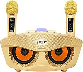 2022 New Karaoke reader SD306 Plus 30W Double Bluetooth speaker 4.2 Family Microphone Stereo KTV Grand speaker with 2 wireless microphones | gold.. DIAYTAR Nigeria: Where affordability meets fast and reliable e-commerce service.