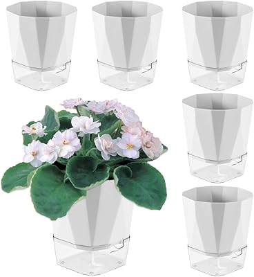 Package of 6 pots of 5 inch planted watering plants for interior and outdoor.. Shop across categories at DIAYTAR NIGERIA and enjoy budget-friendly nationwide shipping in 5-8 days.