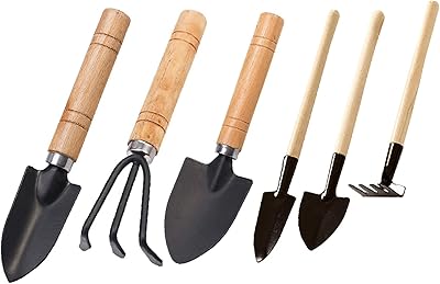 Set of 6 -room garden tools, tools for succulent plants castwave, pruning scissors, accessories for plants, set of succulent gardening tools for sowing soil, interior plants and maintenance of Poncey plants.. Find more for less — only on DIAYTAR Nigeria.