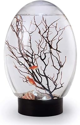 Eco Ball Eco Ball EcoSystem Ecosphere Aquarium System with LED Basic Aquarium Base.. Experience retail convenience with DIAYTAR NIGERIA's comprehensive platform and 5-8 day nationwide shipping.