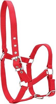 Cheval 6 mm Licou thickness of high density riding accessory.. Shop like never before with DIAYTAR NIGERIA's comprehensive marketplace and budget-friendly shipping.