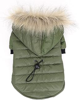 MAUDING CLOTE COLD FUILL FURL PETIERS FUND CHATS BALLIDOGUE CHIPA ROPA Clothes for small and large dogs Chihuahua (Color: Green, Size: XL).. DIAYTAR NIGERIA: Where value shopping meets reliable 5-8 day delivery across the nation.