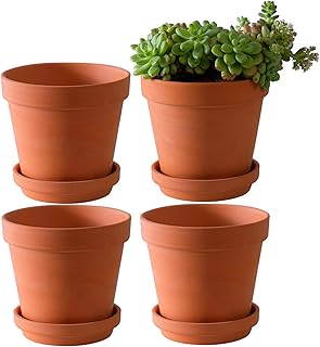 Large terracotta pots with saucer - Lot of 4 large terracotta planters of 6 "with drainage hole, flower pot with tray, terracotta pot for indoor and outdoor plants.. Experience budget-friendly shopping at DIAYTAR NIGERIA, Nigeria's premier online marketplace with quick delivery.
