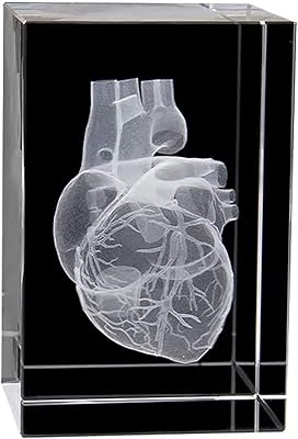 Model of anatomy of the human heart, cube (laser engraved) medical memory, model of anatomy of the human heart in 3D crystal for gifts, night decoration with office decoration.. Your complete shopping companion, DIAYTAR NIGERIA offers extensive selection delivered within the week.
