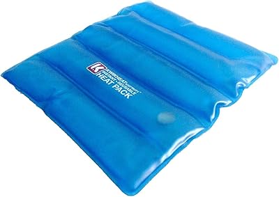 Quickheat seat heating - Instant reusable heating cushion for seats - Non -electric - no microwave required.. Online shopping made simple and affordable — DIAYTAR Nigeria.