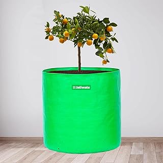 Wni Galliwell 18 "X 18" Large PEHD cultivation bags for vegetables and leafy plants, pack of 2.. Shop smart, shop DIAYTAR - Nigeria's most affordable e-commerce platform with nationwide delivery.
