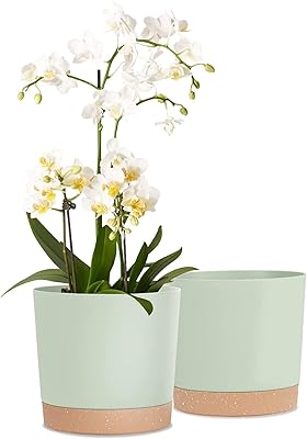 Plastic flower pot jar of round and straight interior plant of 78 inch with hole.. DIAYTAR NIGERIA: Making quality products accessible to all Nigerians at affordable prices.