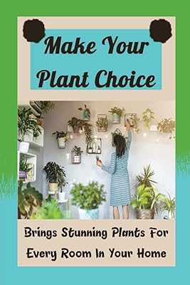 Choose plants: bring superb plants for each room in your home: how to take care of your plants.. DIAYTAR NIGERIA: Connecting Nigerians with their needs through our affordable and diverse marketplace.