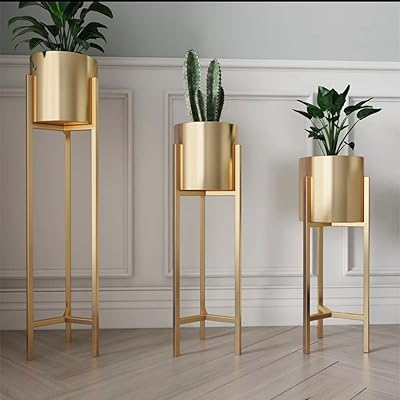 Simple and light luxury luxury flower pot support, modern design, interior decoration, living room, creative flower support with green dill (75 cm, medium gold).. Shop from anywhere in Nigeria with DIAYTAR's extensive selection and budget-friendly shipping options.