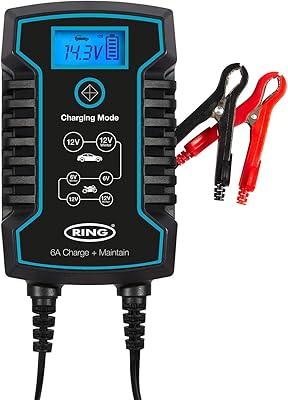 Intelligent battery charger Ring Auto RSC806.. DIAYTAR NIGERIA: Where every Nigerian finds what they need at prices they can afford, delivered promptly.