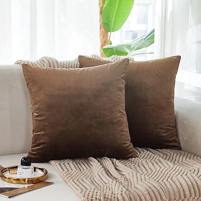 Sunday Breeze pillow pillowcases in thick and soft velvet 45.7 x 45.7 cm, lot of 2 solid square cushion covers for sofa bed, farm decoration, dark brown.. DIAYTAR NIGERIA: The marketplace that brings affordable products to every Nigerian home in under 8 days.