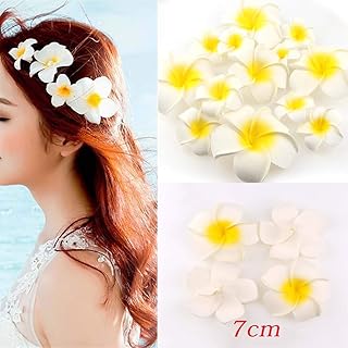 Yasalwas 50pcs Artificial Frangipan Flower in Artificial Flower Flower Hawaiian Flower For Wedding Festival Holidays Holidays at the beach (7 cm).. Embrace the convenience of DIAYTAR NIGERIA with thousands of products at your fingertips, delivered nationwide.