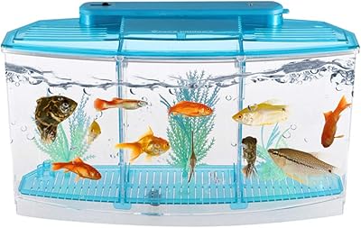 BO PET BOB MINI AUDARIUM AUTIVETOYING Office, Ecological red fish tank, Small aquarium of square rectangular sowing for the house and the store (blue).. DIAYTAR NIGERIA: Your affordable gateway to thousands of products delivered promptly nationwide.
