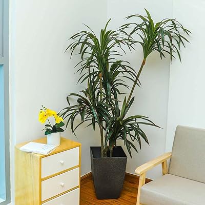 Yahome plastic pot with automatic watering, interior flower pot for children's bedrooms, house pot for all indoor plants, flowers and pink (black).. Experience DIAYTAR NIGERIA, where extensive product variety meets pocket-friendly prices and reliable delivery.