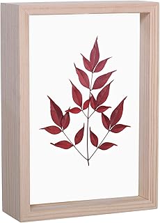 Wooden frame in wooden acrylic wooden longwin 6x8, specimens of dried plants and pressed flowers frame for table decoration.. Experience the ease of digital shopping with DIAYTAR NIGERIA's affordable and diverse marketplace.