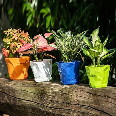 Wish Lot of 5 pots of flowers of 6.8 inch, pots of plastic plants of 0.5 gallon with dishwashed trays, pots of irregular decorative plants for the house, the garden and the office.. DIAYTAR NIGERIA: Where quality products become affordable with our nationwide shipping service.