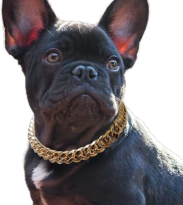 Cuban mealing dog necklace - 3/4 "clear gold chain necklace, cute fashion jewelry accessories for puppies, fashion design for French bully, doberman, 14.. Love deals? DIAYTAR Nigeria has you covered with low prices and fast delivery.
