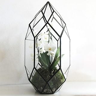 Fairysland Large Map in 10 inch geometric glass handmade for indoor air plants, window, balcony, succulent flower pot, black.. Skip the traffic, shop online — DIAYTAR Nigeria brings it to you.
