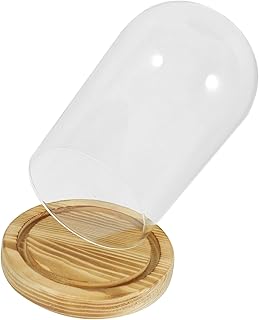 Orfofe Wooden Base Glass Cover Vegetable Decorations Decor Table Table Table garnish Flower cover Dome Flower Dome glass Dome Dome with Dome base with Decoration Accessories Base Wooden Wooden Display Cover.. Great finds. Great prices. Fast shipping. That’s DIAYTAR Nigeria.